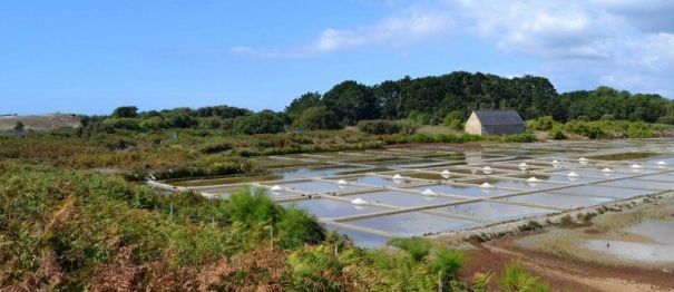 © tiphaine larchey - marais salant de kervillen