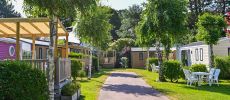  Accommodaties, aankomst en reservering﻿