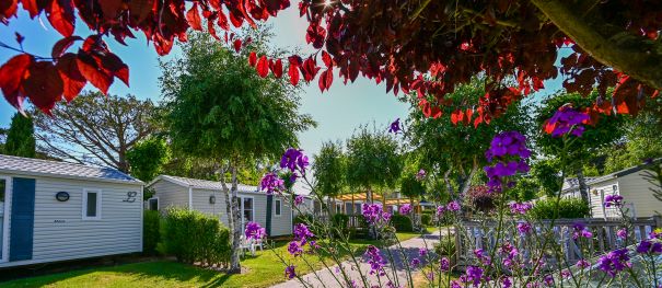 Aankomst & vertrek – Zo werkt het